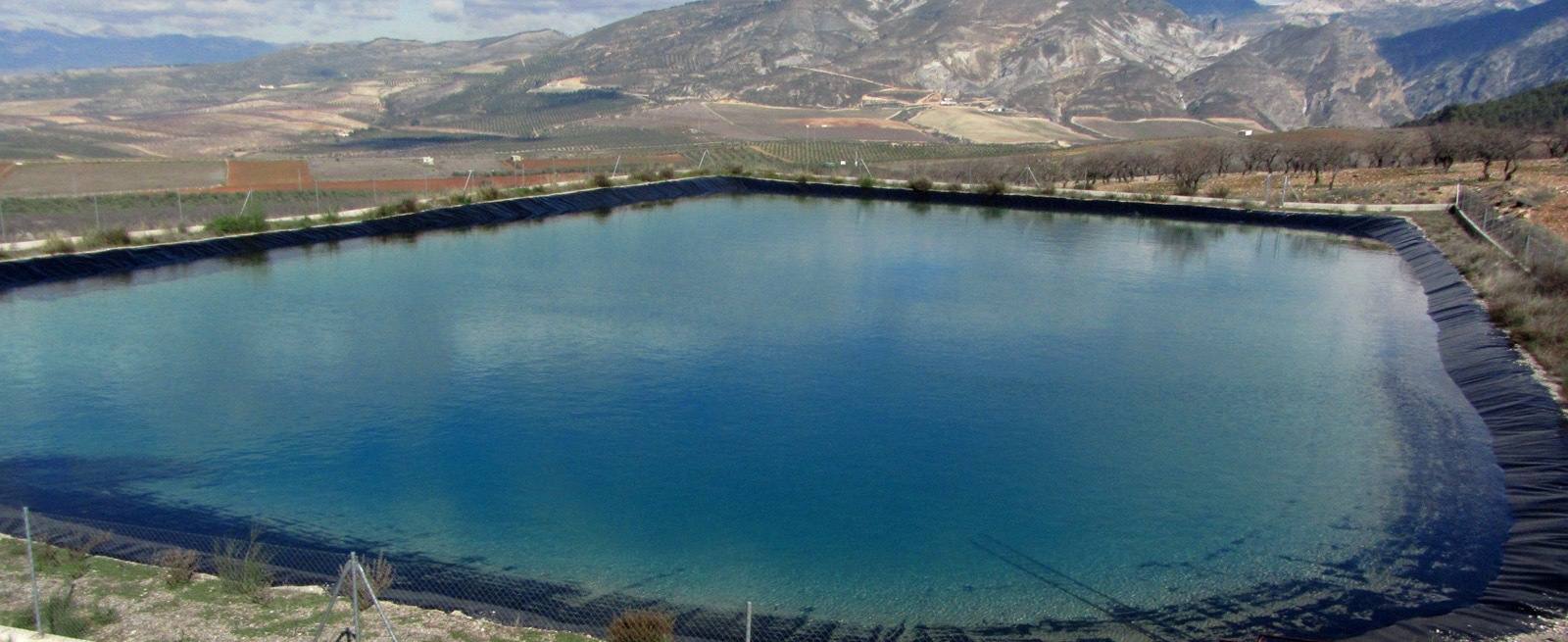 Balsa de riego impermeabilizada y llena de agua entre olivares, con la sierra al fondo.